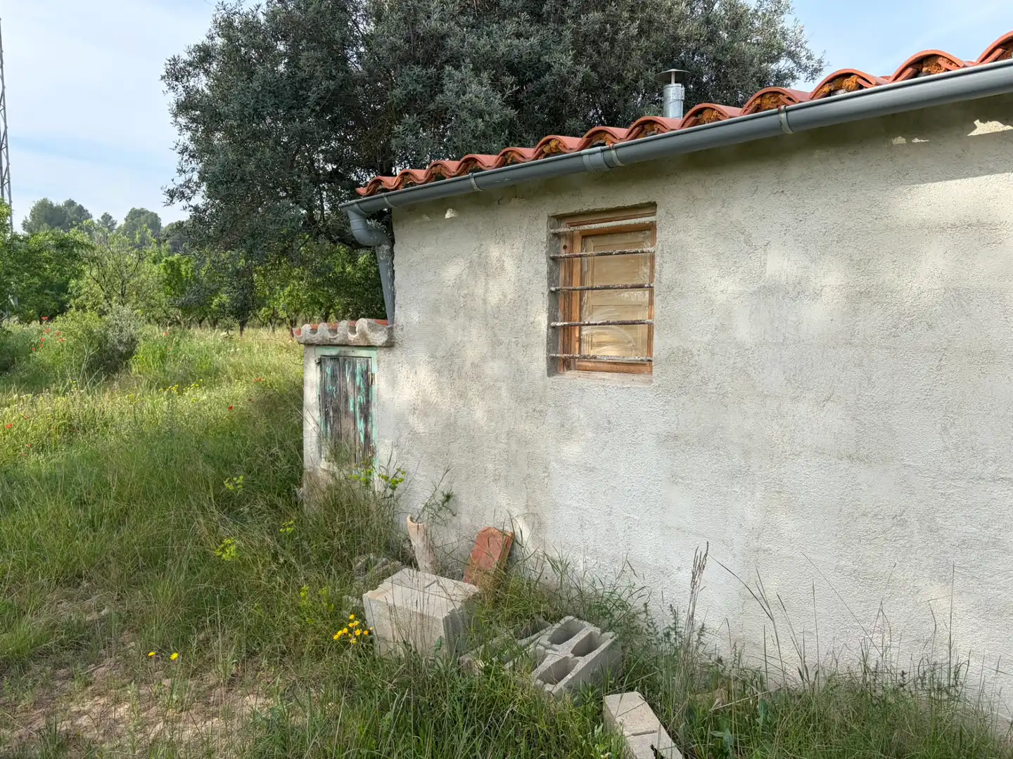 Terreno rustico in vendita a Ascó, imagen 12