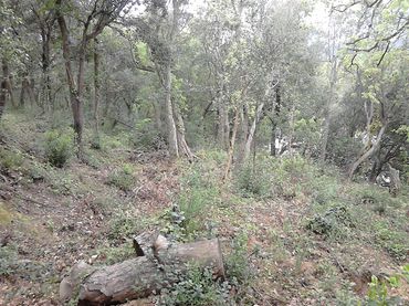 Wohnbaugrundstück zum Verkauf in Avinguda Montnegre 67