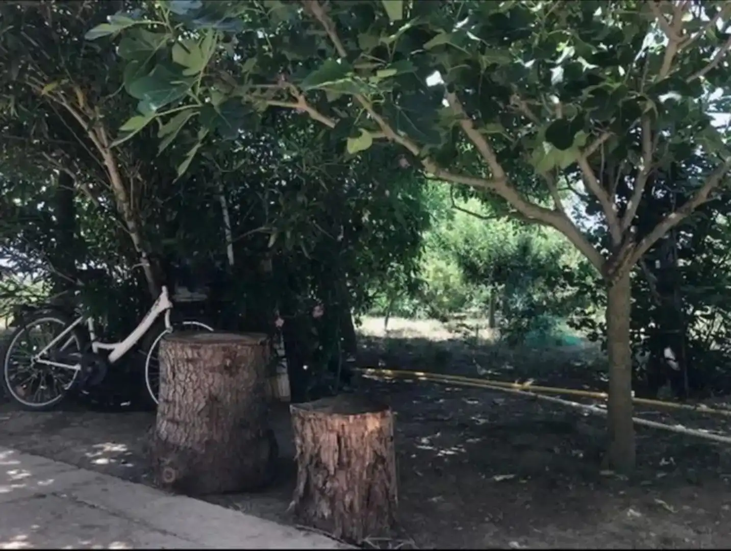 Casa o xalet en venda en Palencia Capital