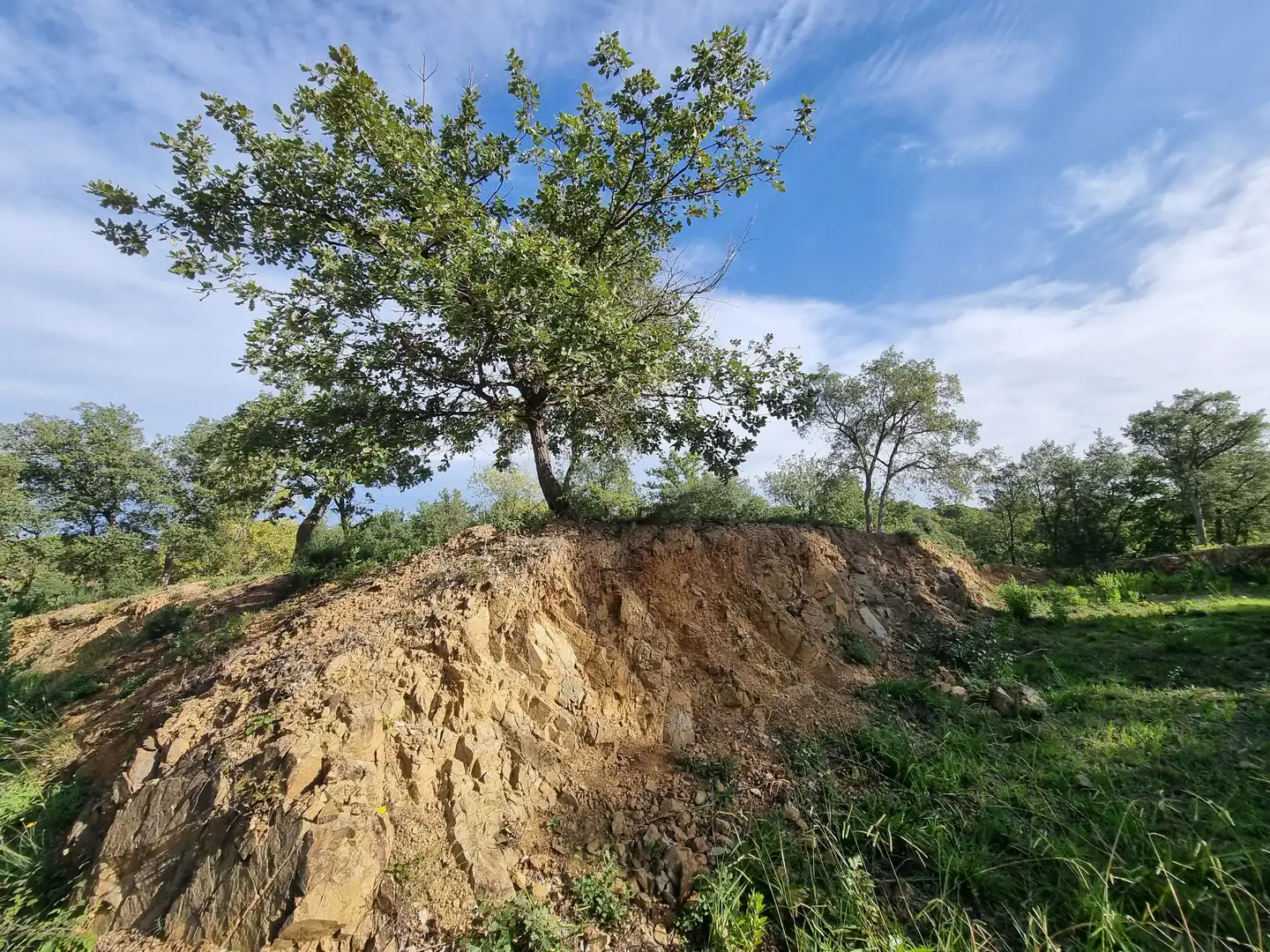 Wohnbaugrundstück zum Verkauf in Carrer del Bages 2, imagen 3