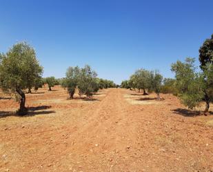 Finca rústica en venda en Villanueva del Duque