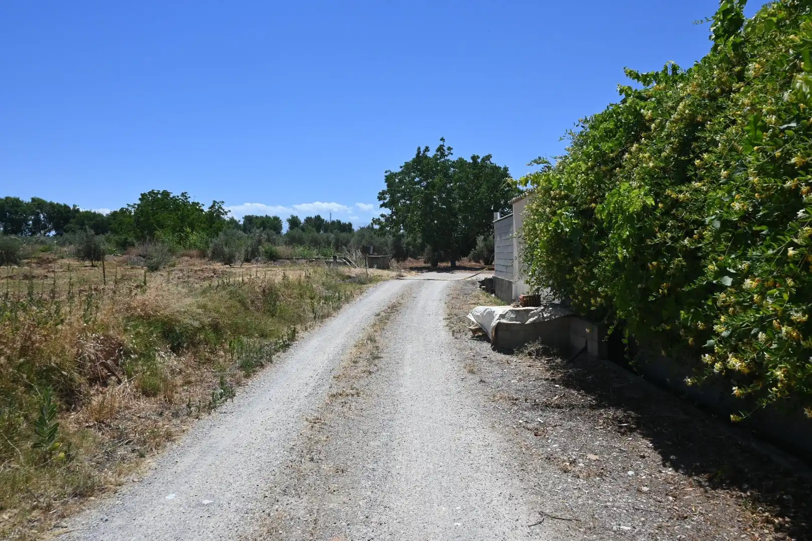Terreni e lotti in vendita a Albolote, imagen 31