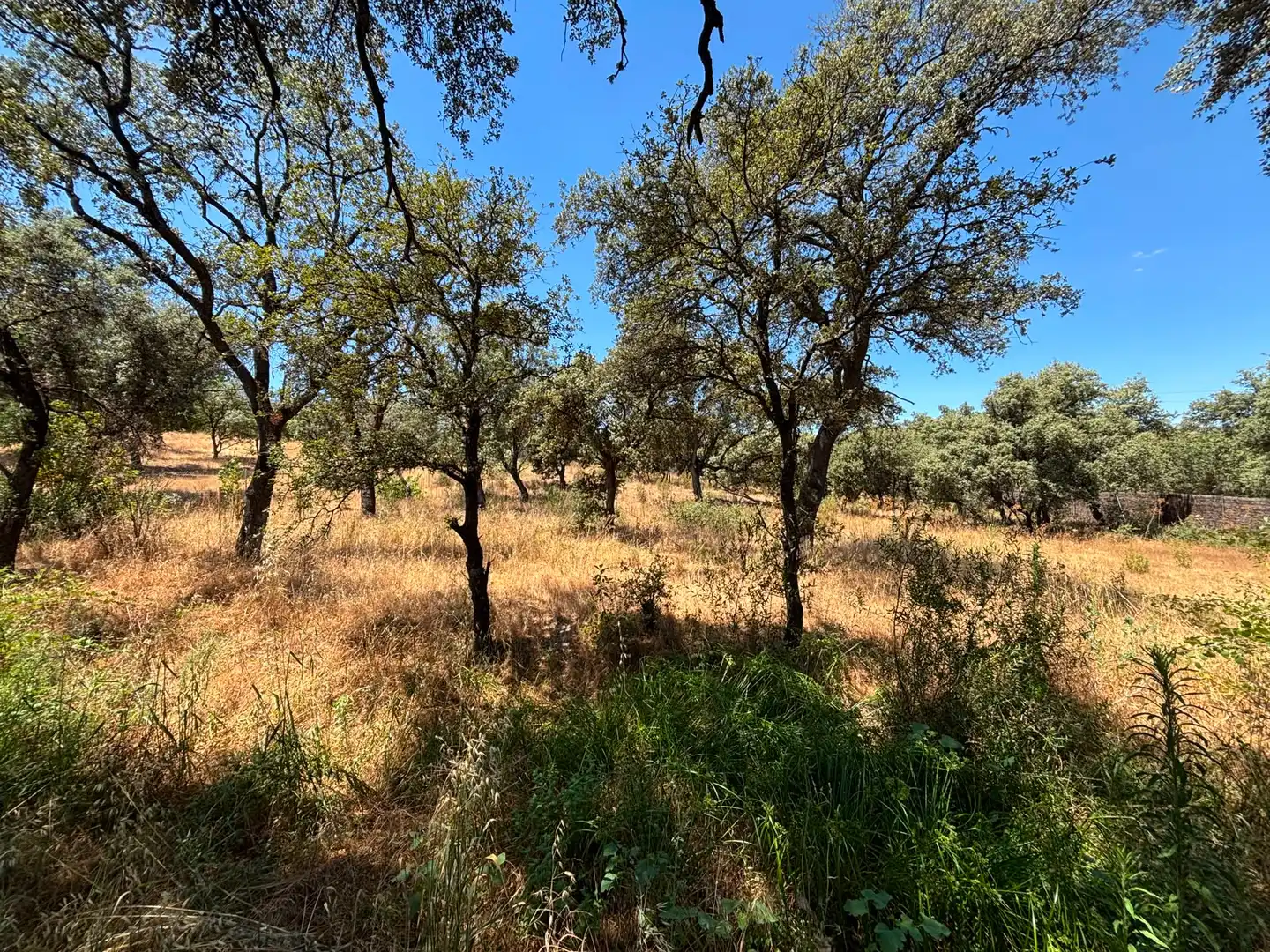 Residential land for sale in Paseo del Perú, imagen 9