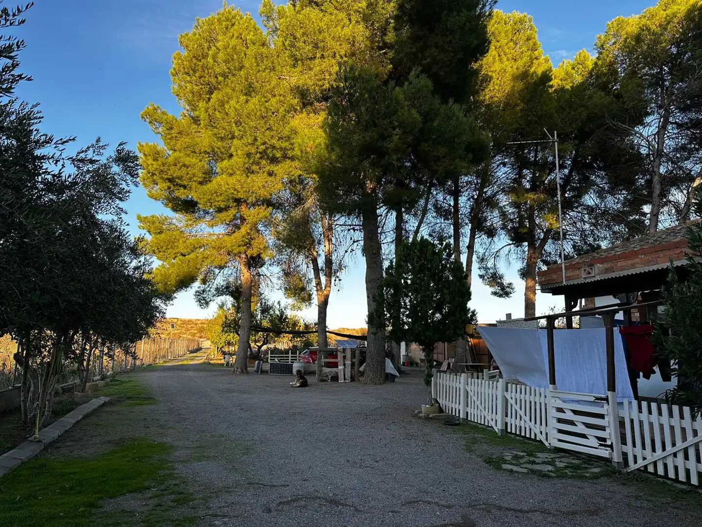 Vista exterior de Finca rústica en venta en Montoliu de Lleida con Calefacción, Jardín privado y Internet