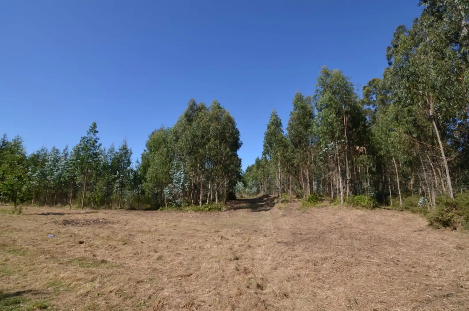 Casa o chalet en venta en Coirós con Trastero, Balcón y Internet