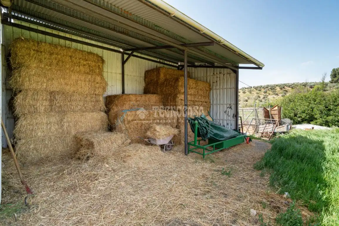 Finca rústica en venda en Iznalloz