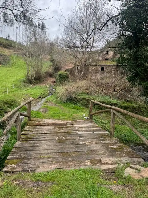 Vista exterior de Finca rústica en venta en Castropol