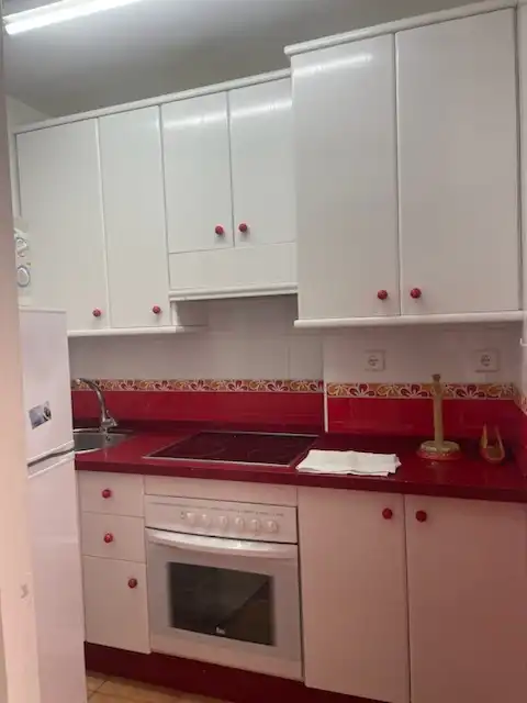 Apartments for rent in Avenida Gamonal, Parque de la Paloma