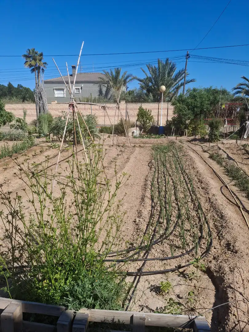 Haus oder Chalet zum Verkauf in Elche / Elx