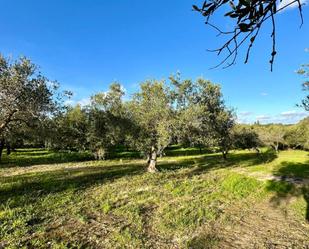 Finca rústica en venda en Jerez de la Frontera