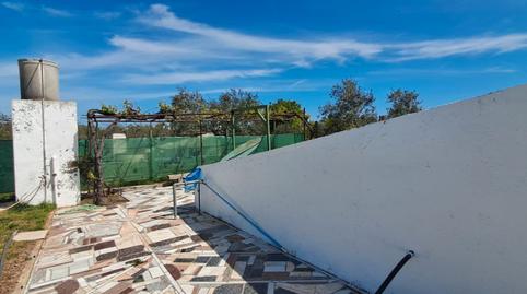 Foto 5 de Casa o chalet en venta en Los Molares, Sevilla