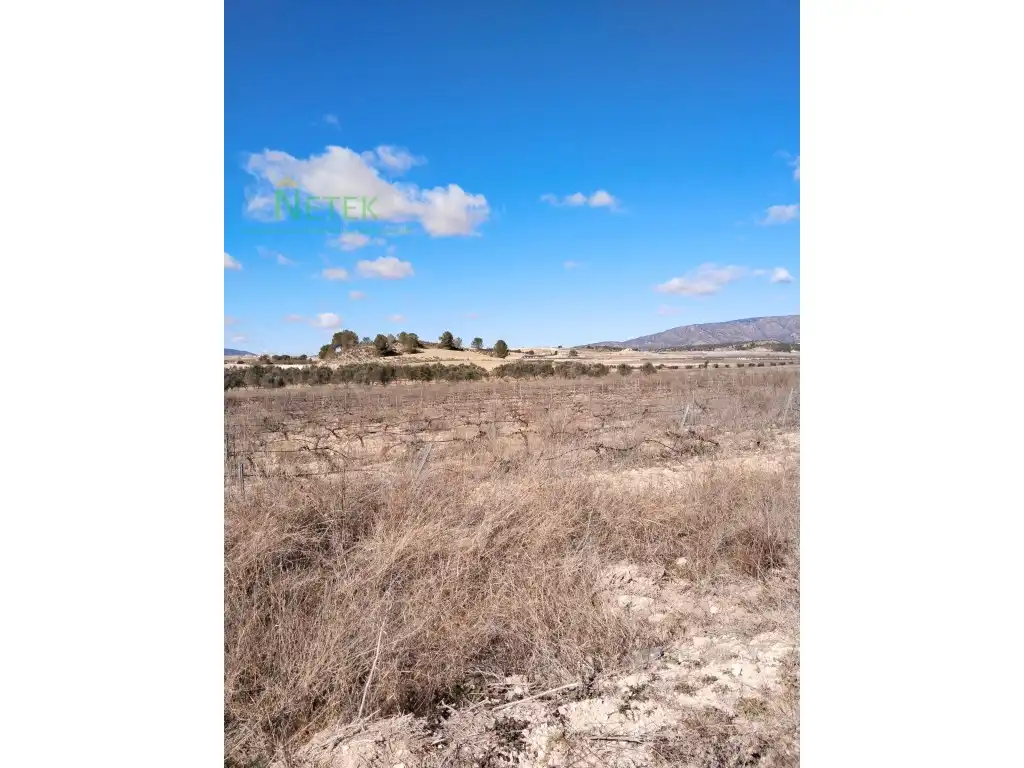 Terreno residencial en venta en Poligono 11 Paraje 135 Salobrar, imagen 2