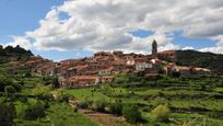 Exterior view of House or chalet for sale in La Pobla de Benifassà  with Heating, Terrace and Storage room