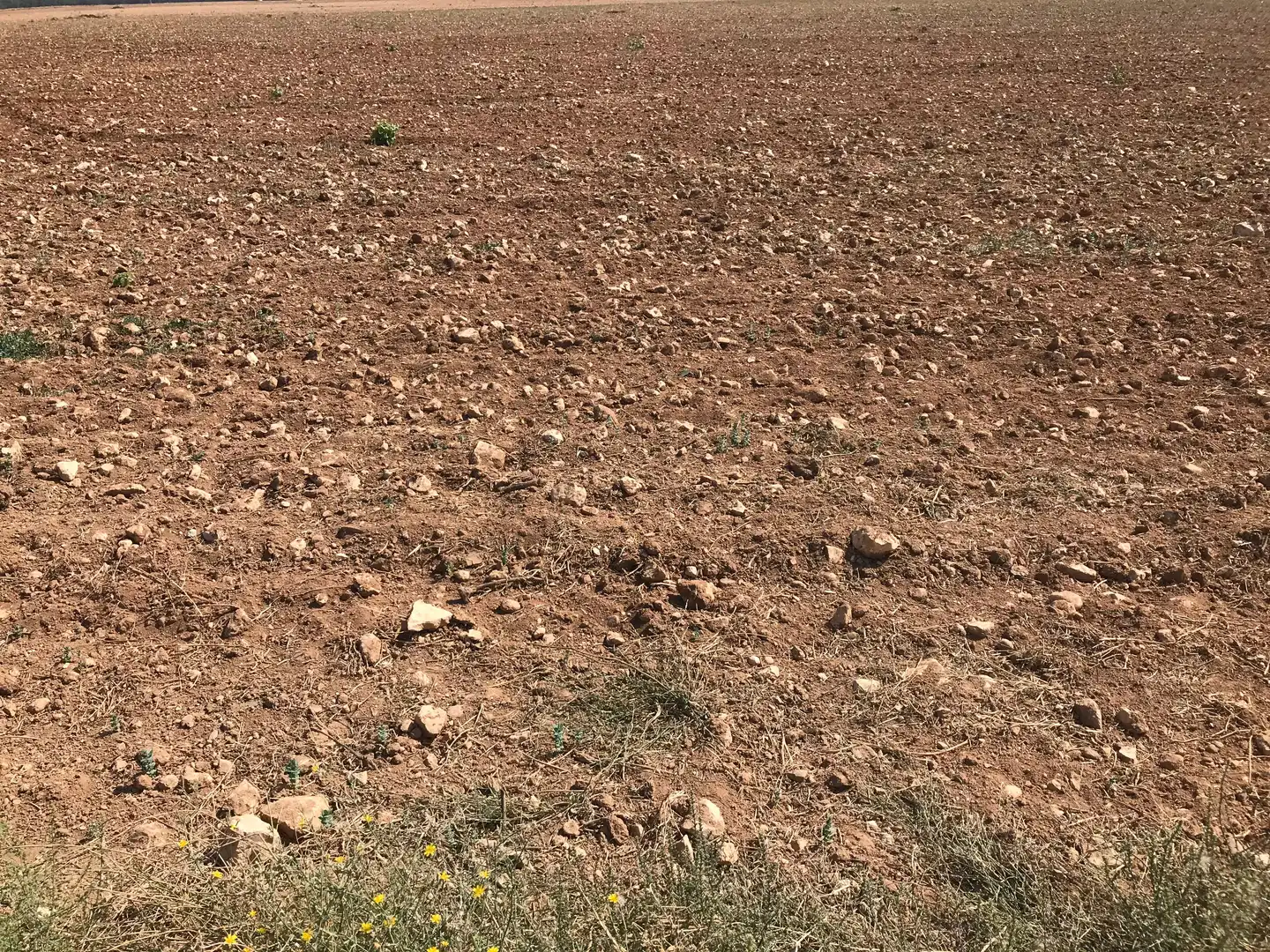 Terreni e lotti in vendita a Las Mesas, imagen 20
