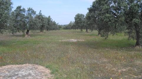 Photo 5 of Land for sale in Avinguda Barcelona, 5, Flix, Tarragona