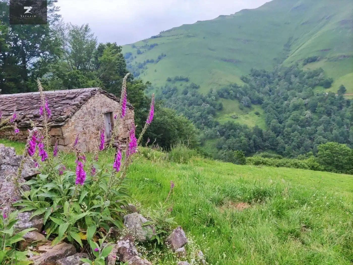 House with garden for sale in Vega de Pas