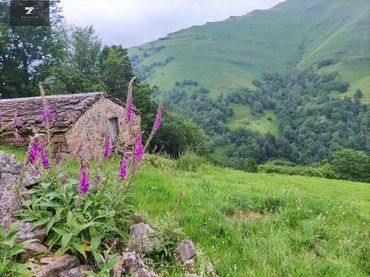 Maison avec jardin à vendre à Vega de Pas