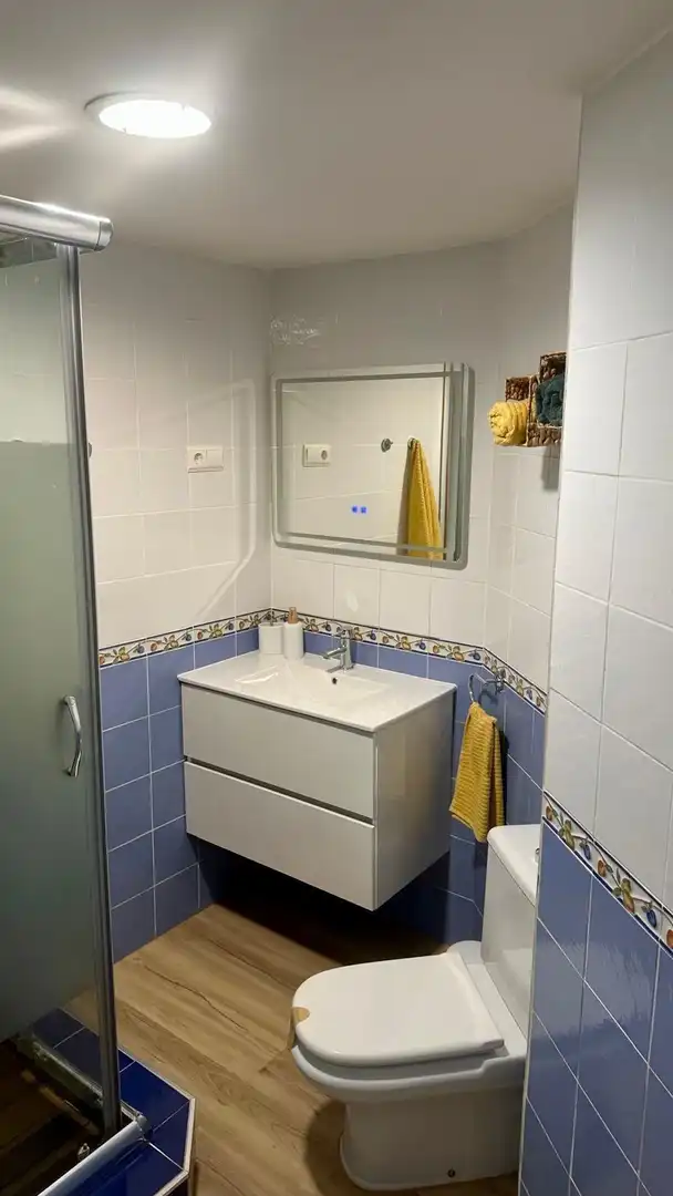 Apartment with pool for sale in Avenida CARLOTA ALEXANDRI, imagen 12