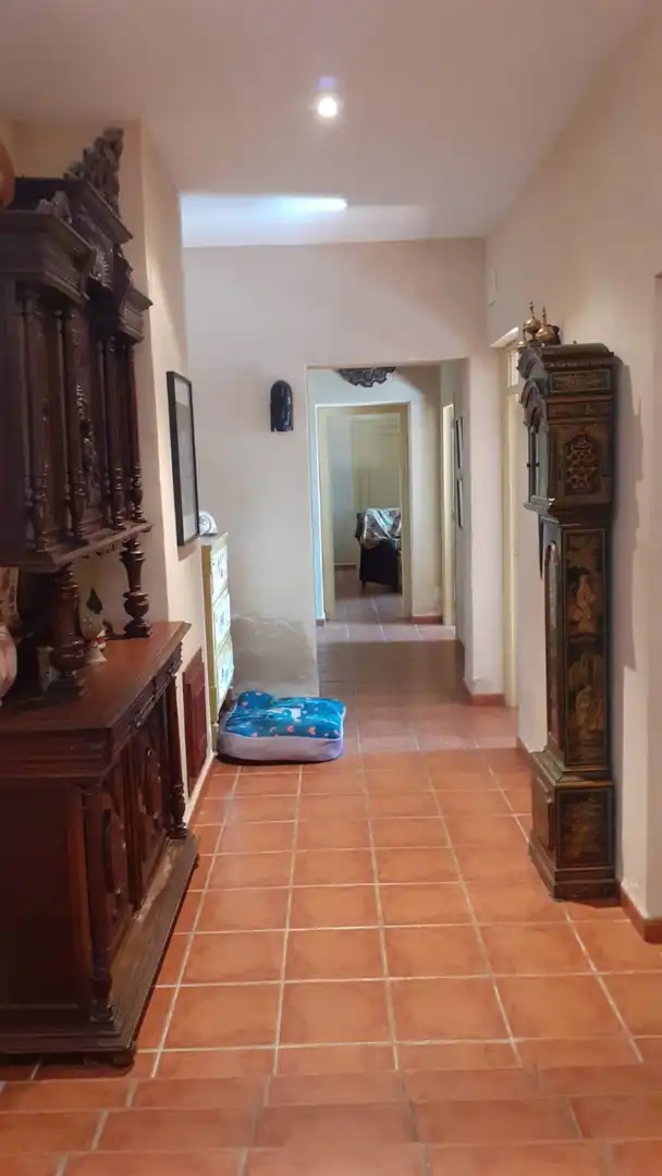 Casa o xalet en venda en Elche / Elx amb Aire condicionat, Jardí privat i Terrassa