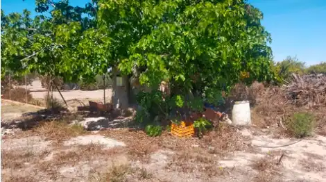 Terrain rustique à vendre à La Foia - Daimés - Asprella, imagen 7