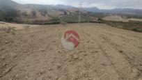 Finca rústica en venda en Alhaurín de la Torre