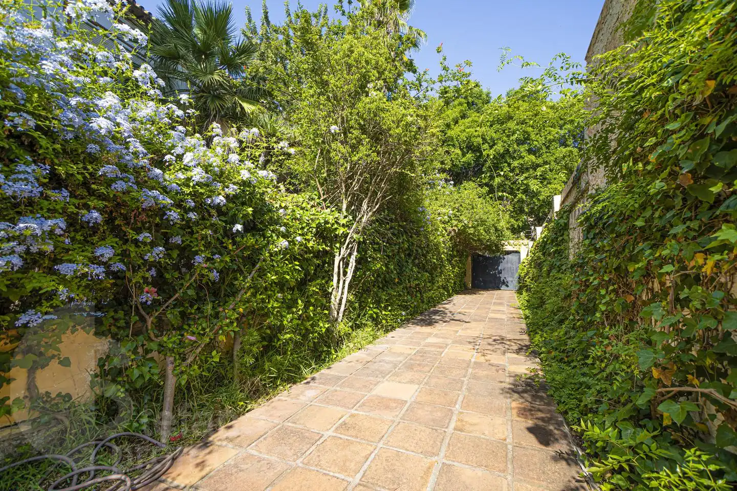 House with terrace for sale in Paseo Limonar, imagen 31