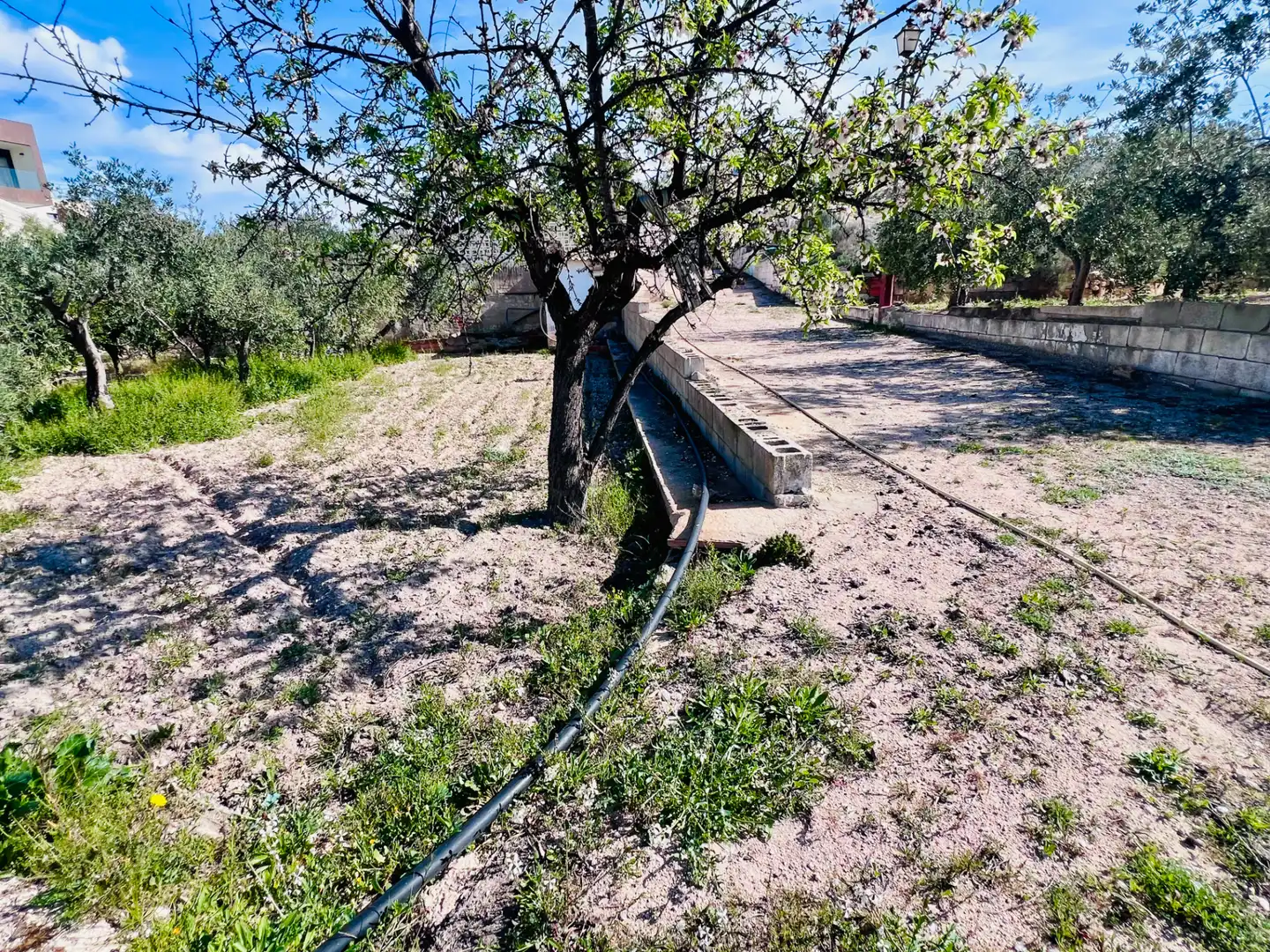 Casa o xalet en venda en Petrer amb Aire condicionat, Jardí privat i Terrassa