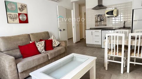 Dos apartamentos y un estudio en Conil, immagine 2