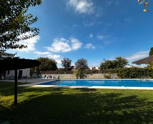 Swimming pool of Flat to rent in Mairena del Aljarafe  with Air Conditioner and Terrace