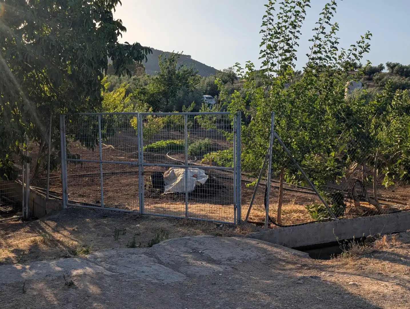 Terreni e lotti in vendita a Alcaudete, imagen 2