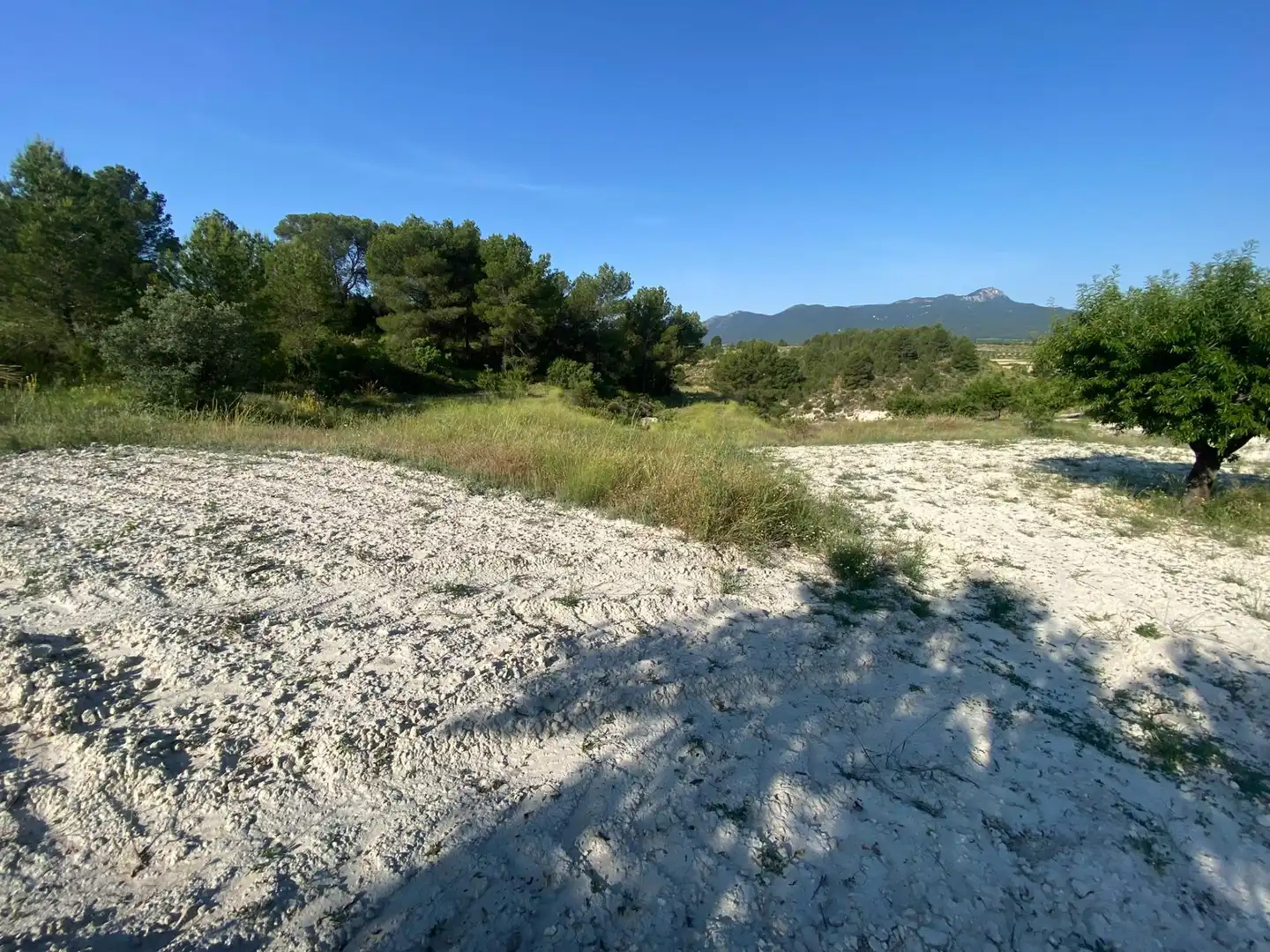 Villa à vendre à Moratalla, imagen 89