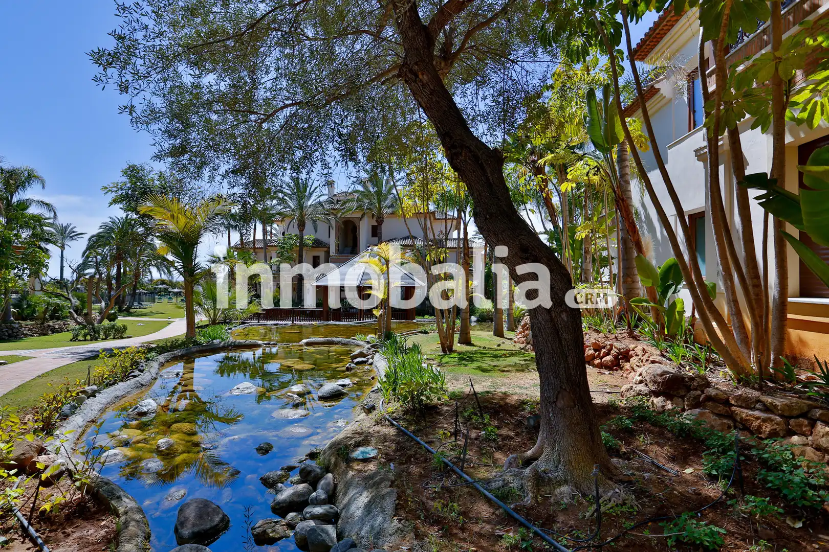 Jardí de Àtic de lloguer en Marbella amb Aire condicionat, Terrassa i Piscina