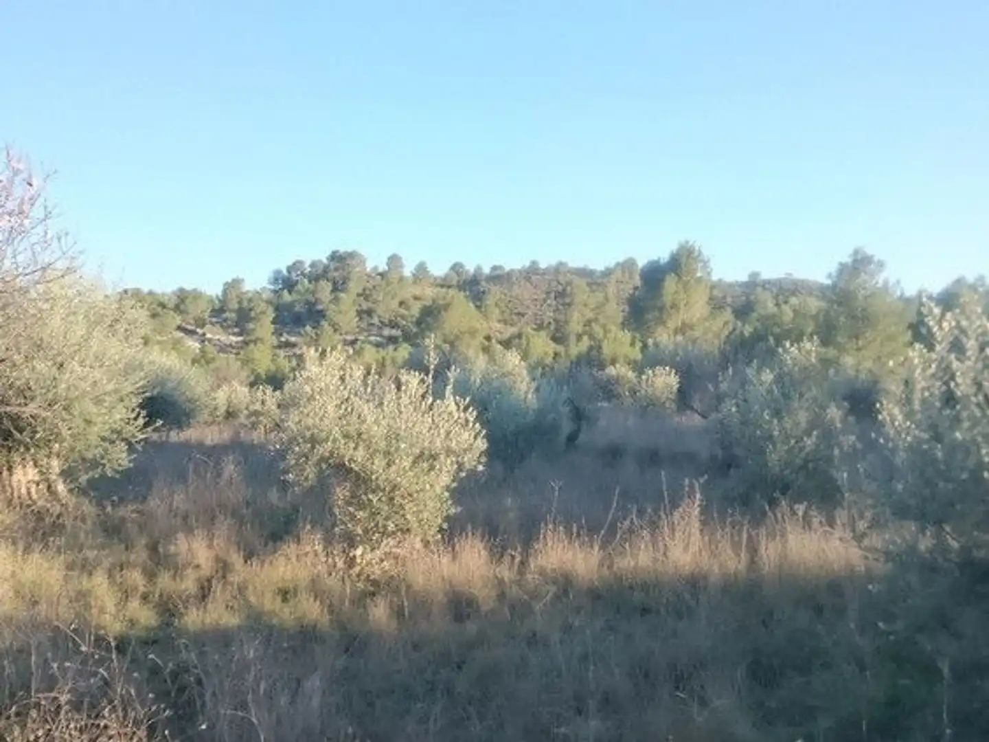 Terreni e lotti in vendita a Moratalla, imagen 6