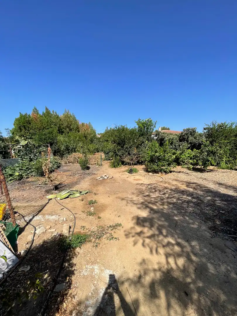 Country homes for sale in Cantillana