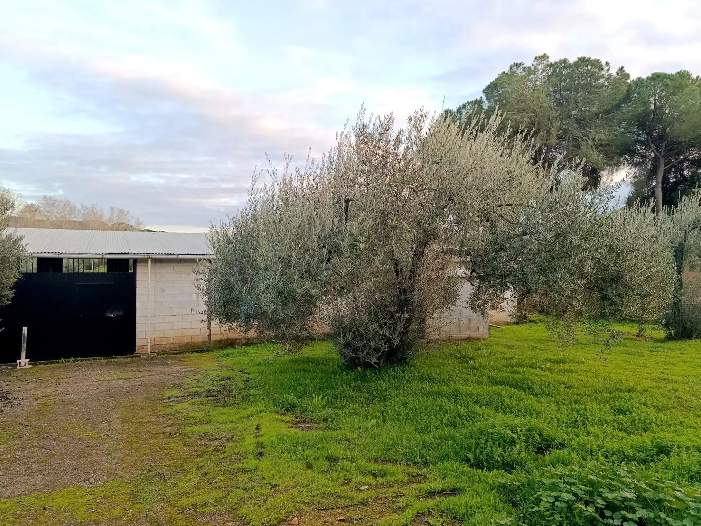 Country house zum Verkauf in Hinojos mit Privatgarten, Terrasse und Schwimmbad