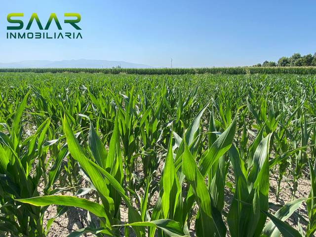 Terreno residencial en Venta en Fuente Vaqueros