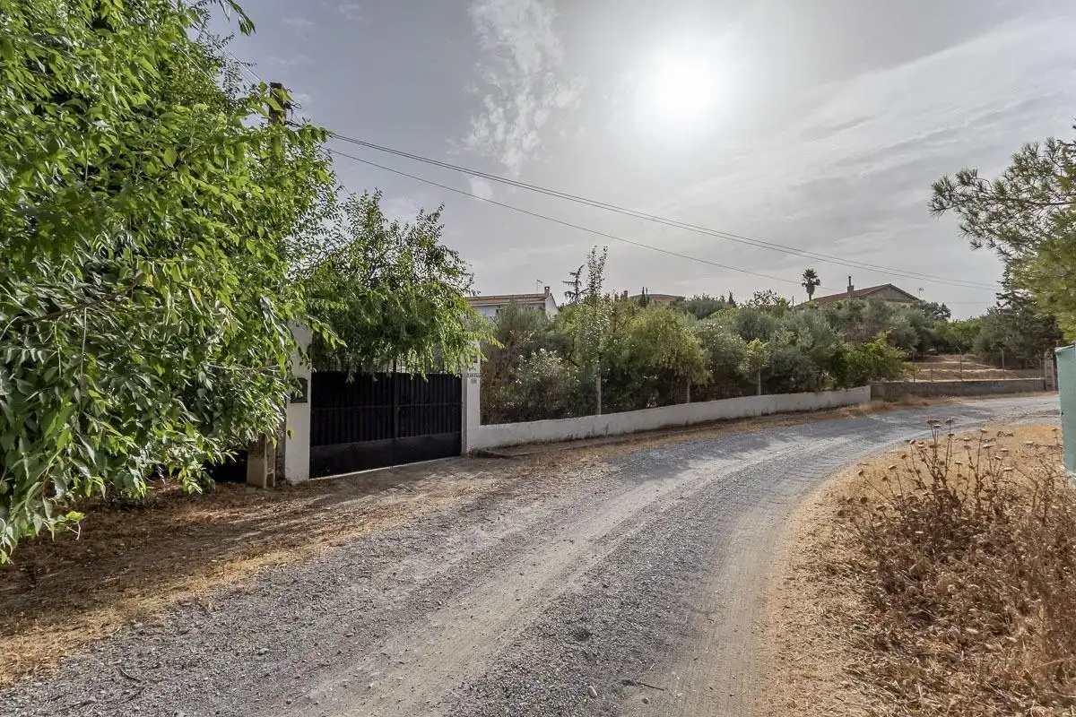 Vista exterior de Casa o chalet en venta en Las Gabias con Jardín privado, Terraza y Piscina