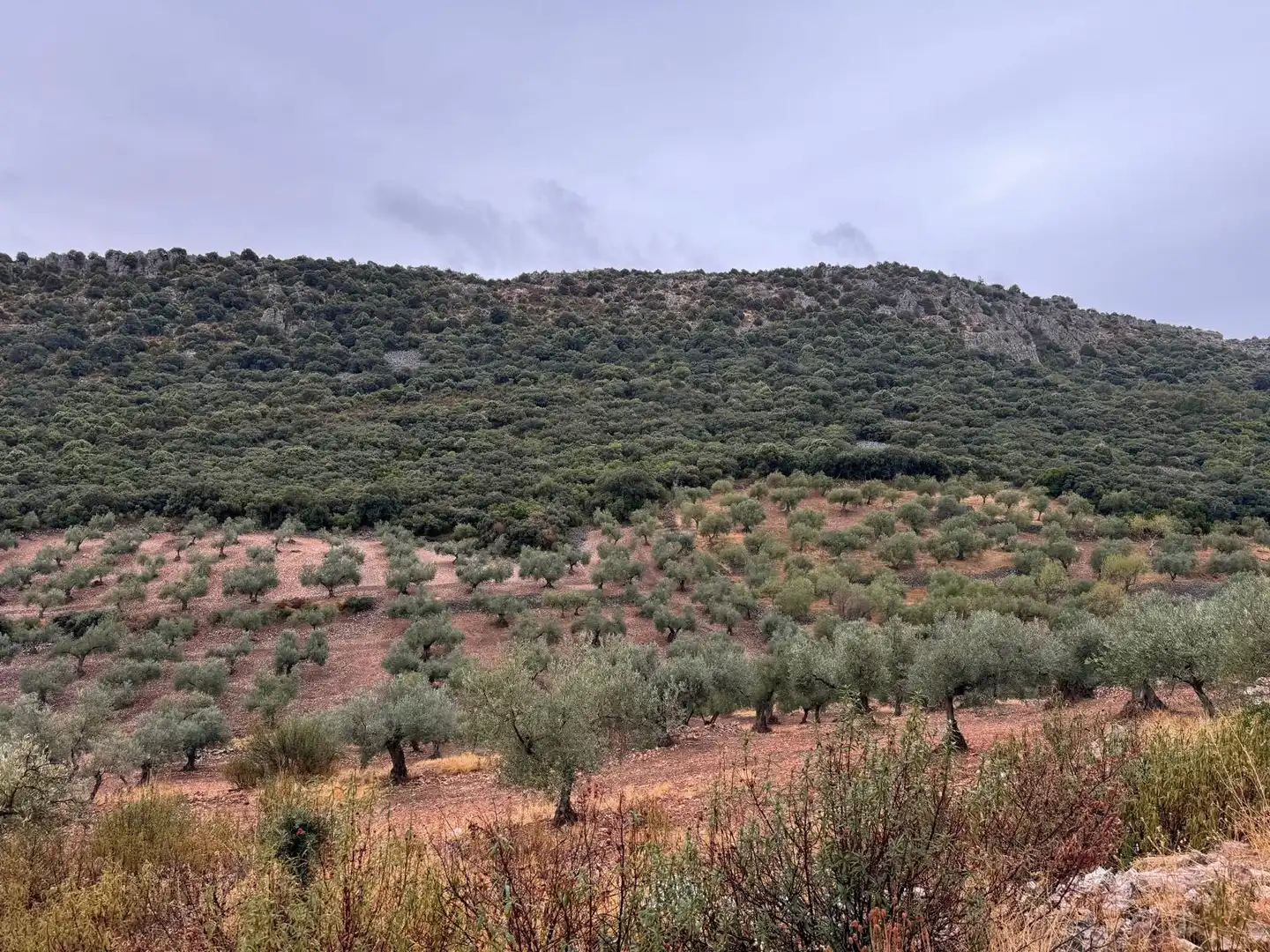 Terreni e lotti in vendita a Cabeza del Buey, imagen 5