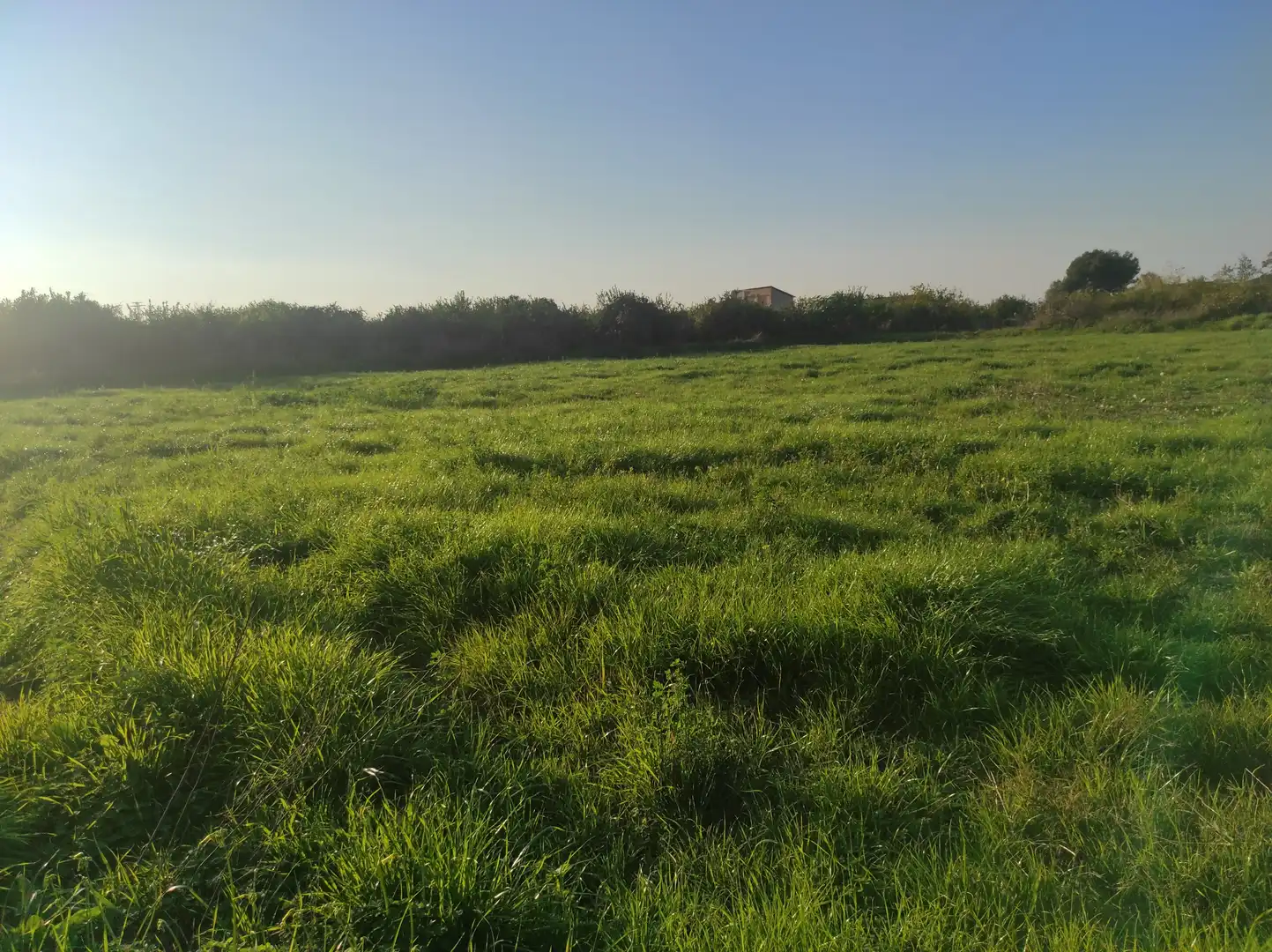Terrenys i solars en venda a Pedanías Este, imagen 7