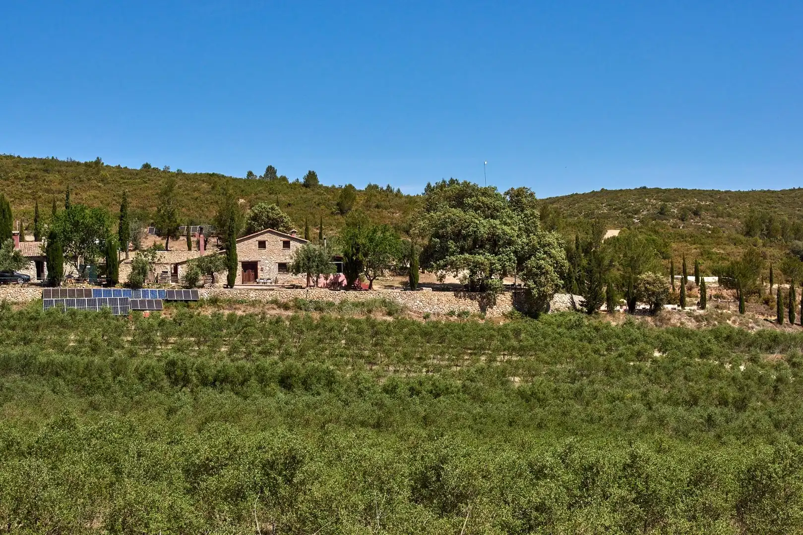 Vista exterior de Finca rústica en venta en Enguera con Calefacción, Jardín privado y Terraza