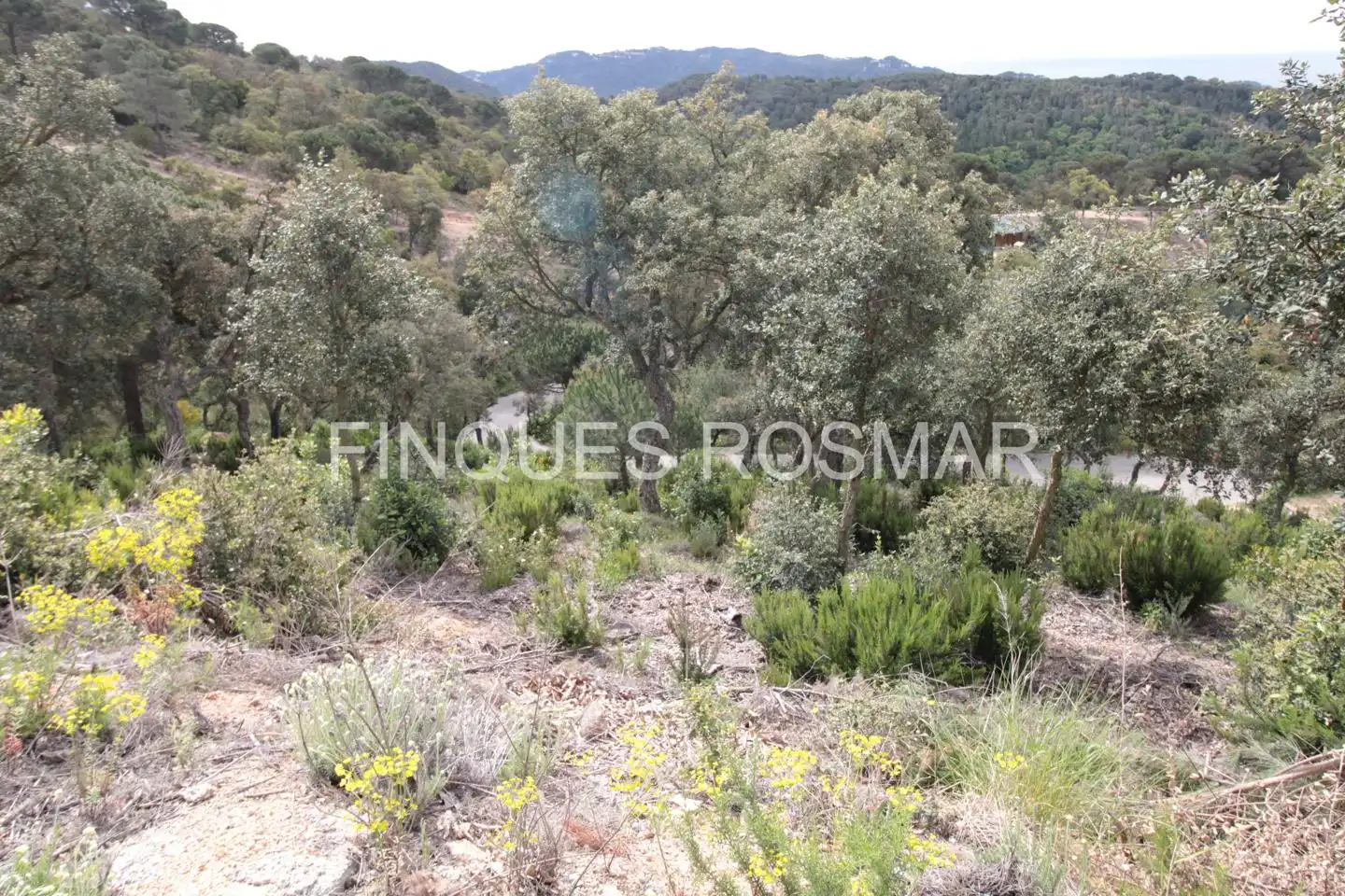 Terreni e lotti in vendita a Lloret Residencial - Montlloret, imagen 7