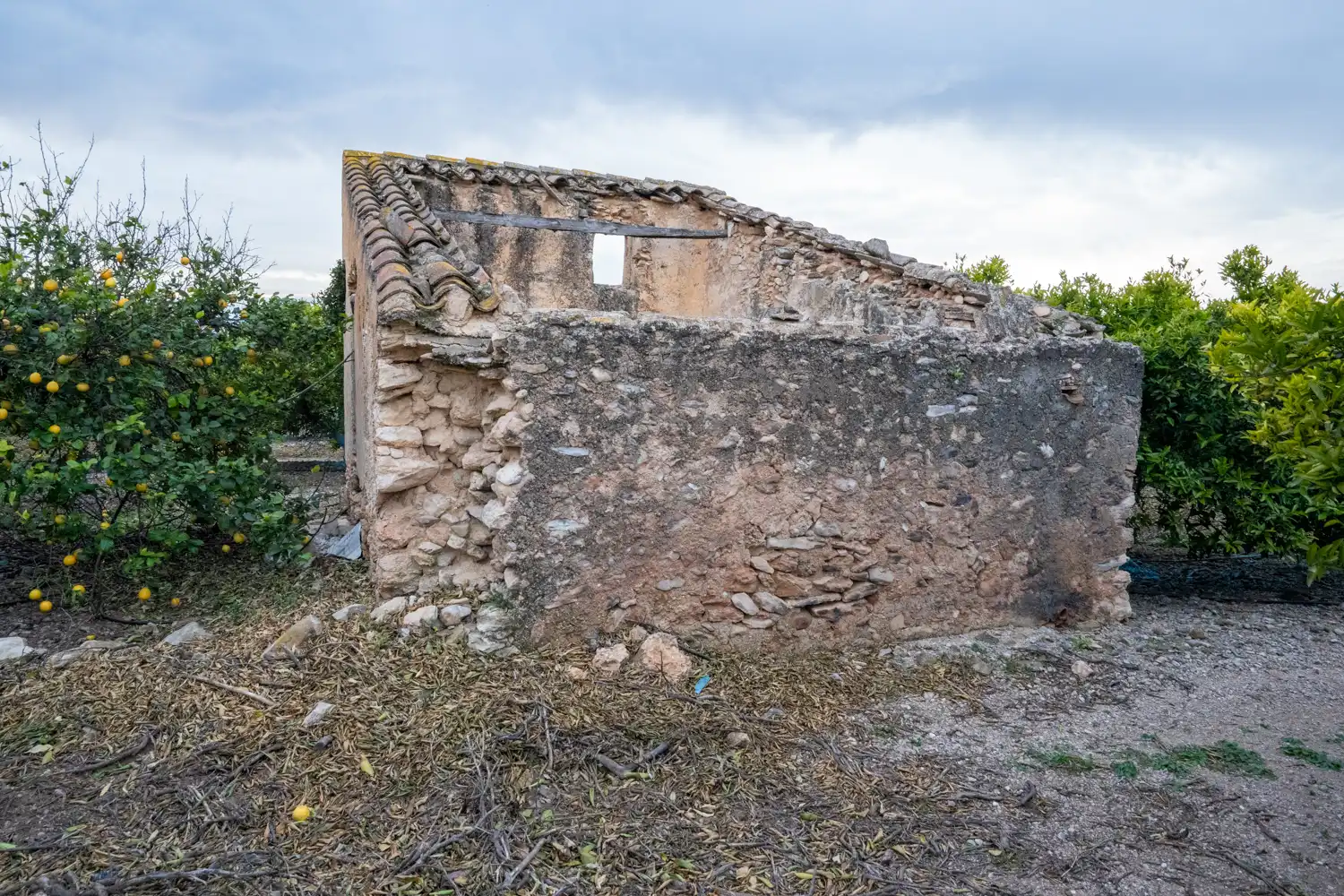 Rural land for sale in Camì Vell de la Galera 75, imagen 6