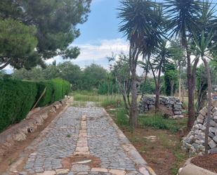 Jardí de Finca rústica en venda en Mont-roig del Camp amb Terrassa