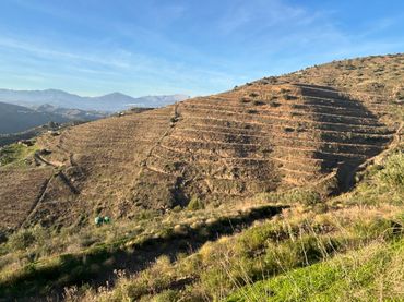 Terreno rustico in vendita a Barrio Trapiche-la Palma Sg.T