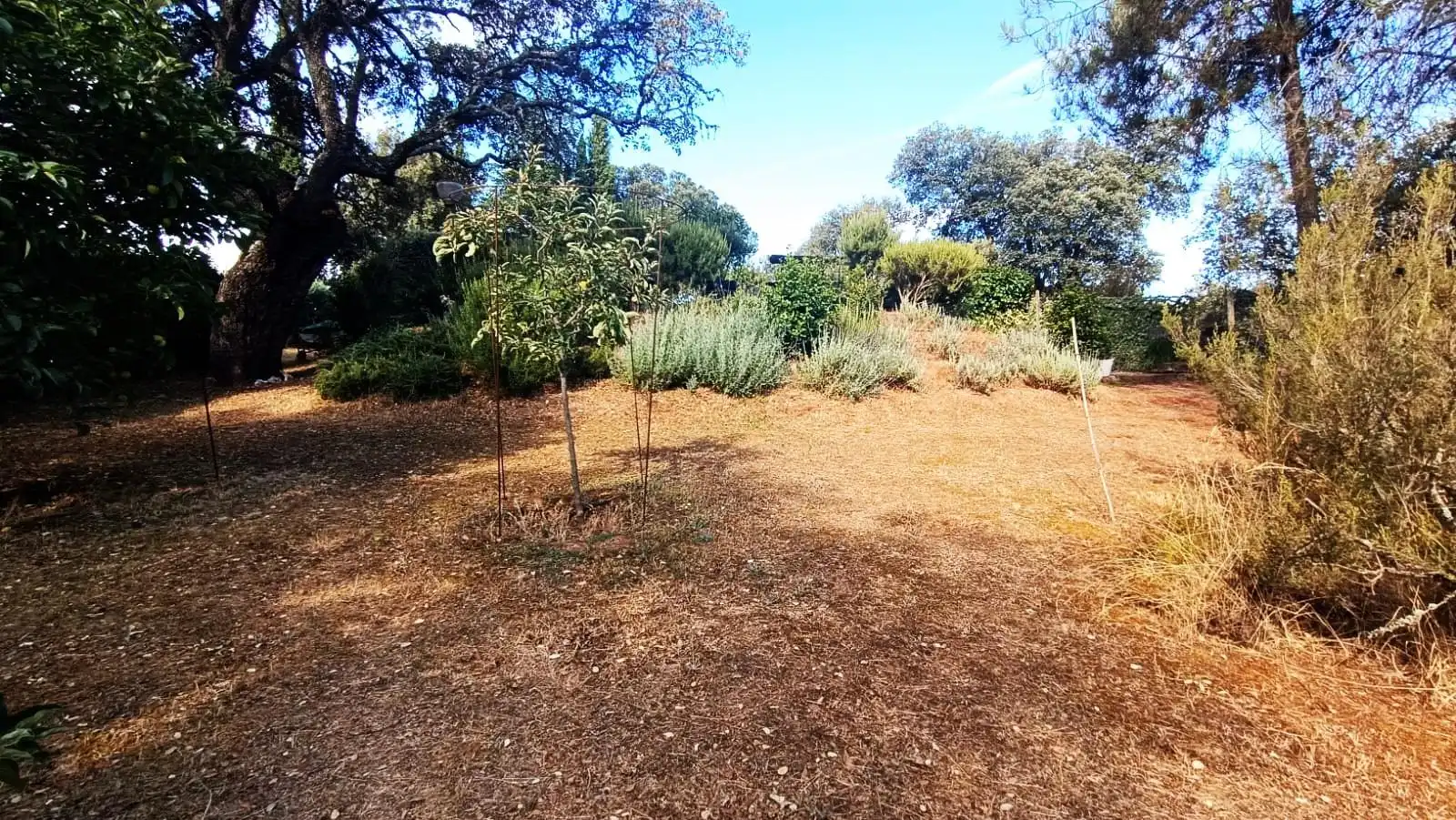 Casa o xalet en venda en Palacios del Pan amb Calefacció, Jardí privat i Terrassa