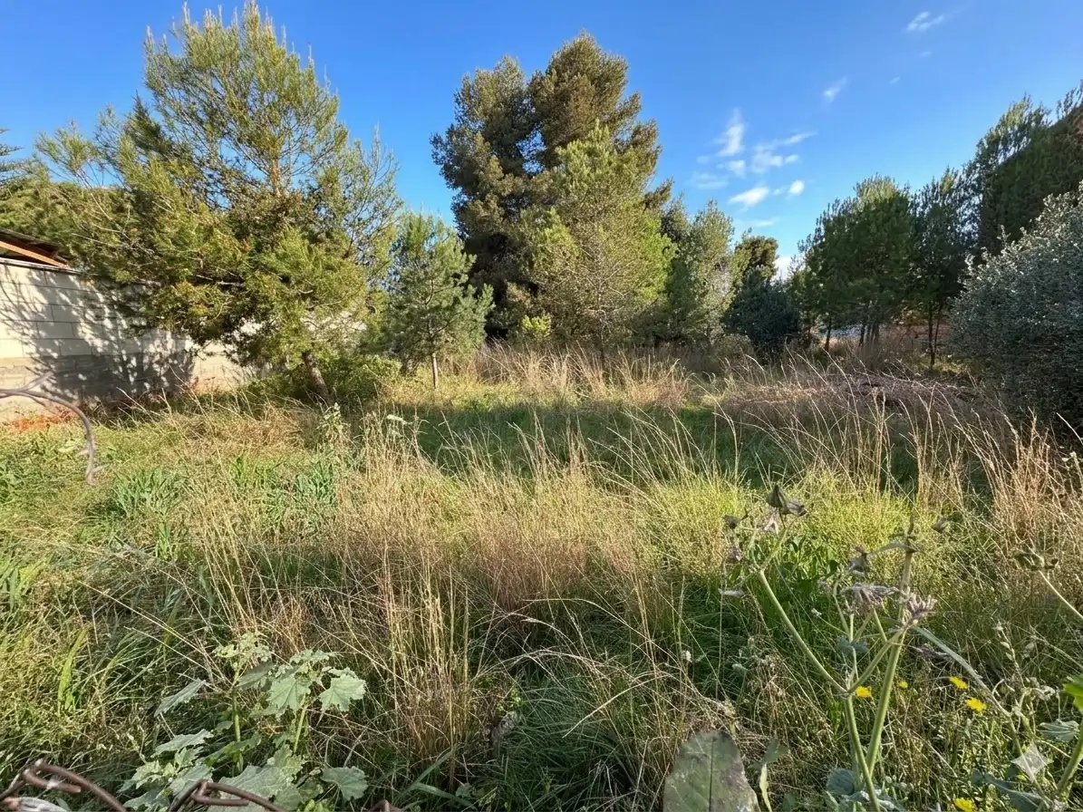 Casa o chalet en venta en Carrer Tomàs Breton, 26, El Francàs