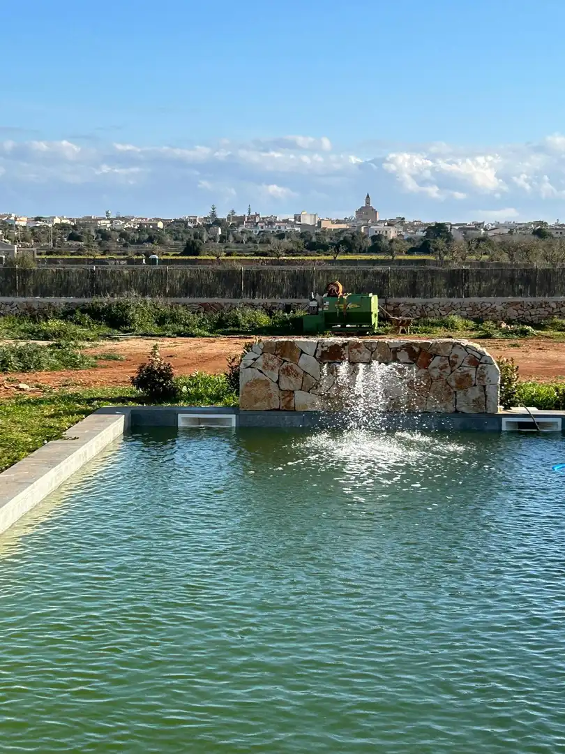 Villa avec piscine à vendre à Santanyí Poble, imagen 3