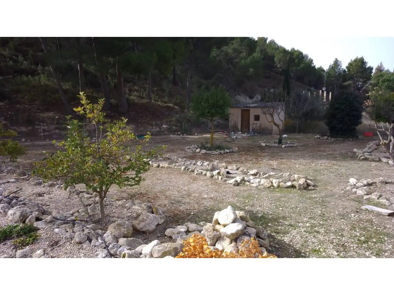 Casa o chalet en venta en Petrer con Piscina