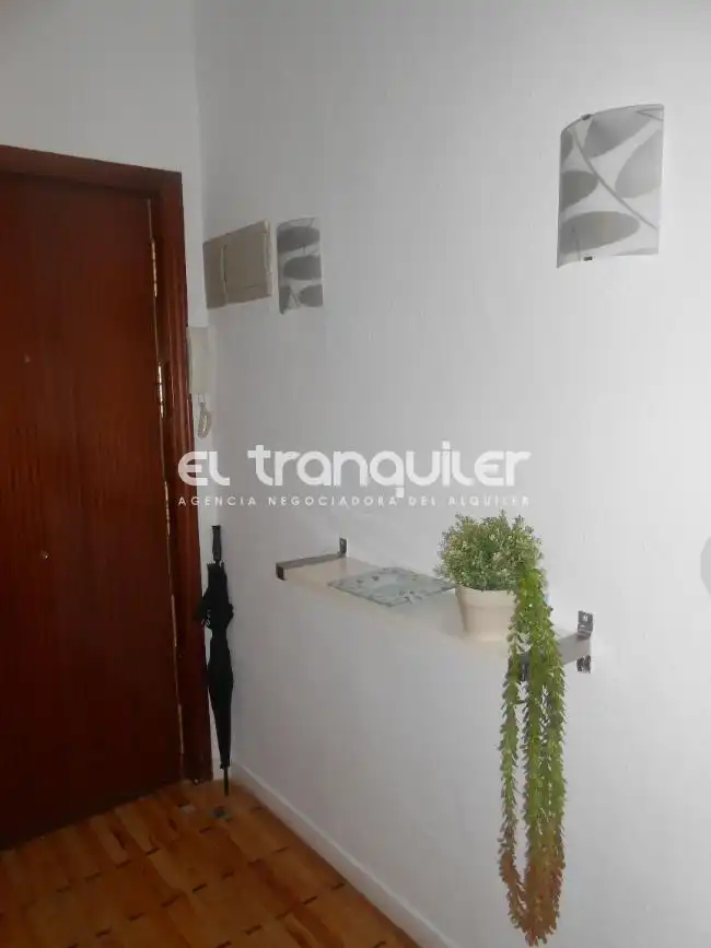 Flat for rent in Madrid  with Parquet flooring, Terrace and Furnished