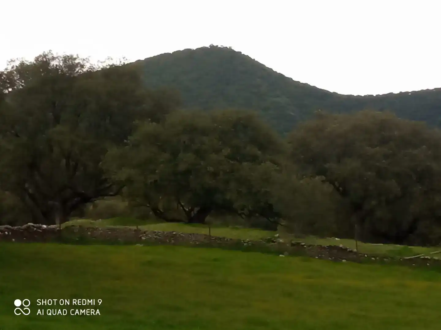 Finca rústica en venta en Aldeacentenera con Jardín privado